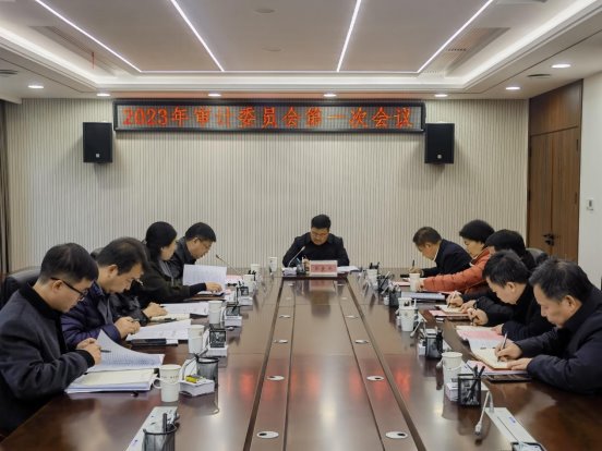 2023年学校党委审计委员会第一次会议召开